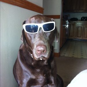 Meet your Posher, Brandon